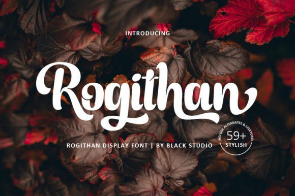 Elevate Your Brand with the Rogithan Typeface